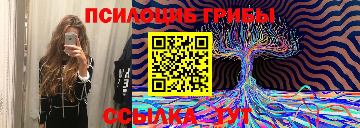 Галлюциногенные грибы Magic Shrooms  Псилоцибиновые грибы Magic Shrooms  Вход с VPN  Переславль-Залесский 